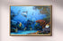 wood framed original painting great barrier reef coral trout wall art print